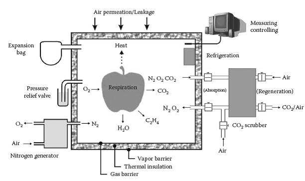Fig. 46.1 Scheme of a CA room