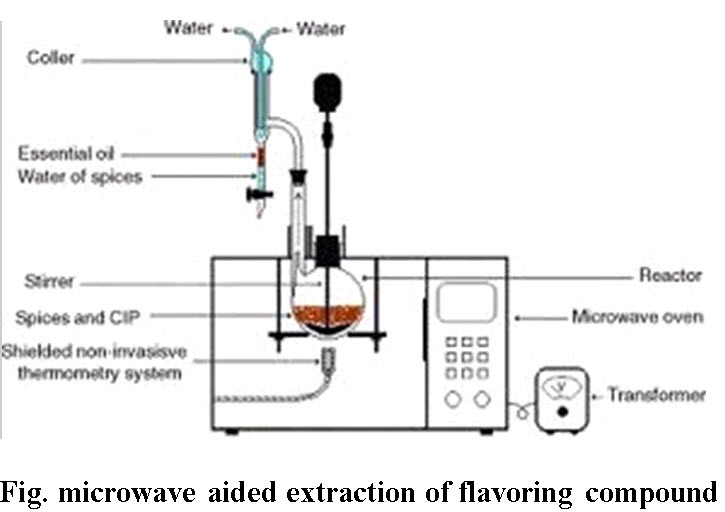 Fig. microwave aided extraction of flavoring compound
