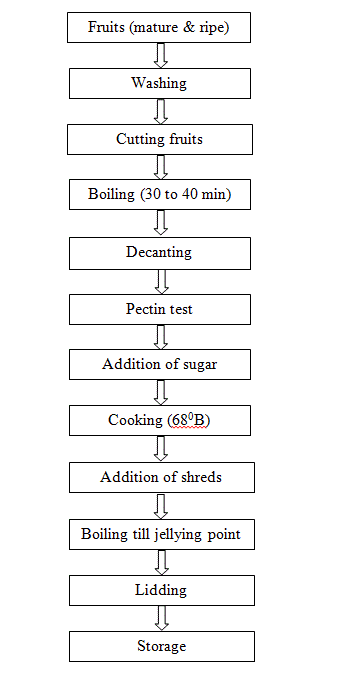 8.5 Processing of Marmalade
