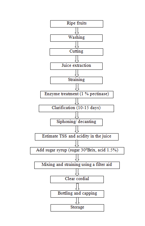 Pickle Processing Flow Chart