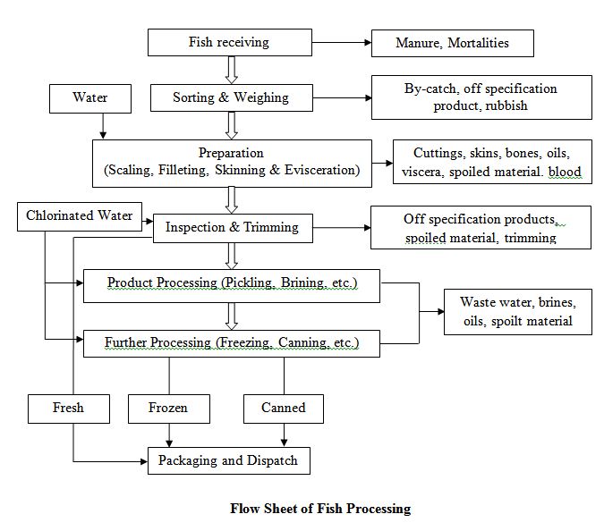 Flow Sheet of Fish Processing