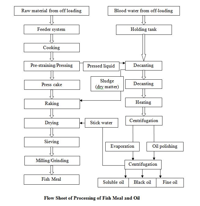 Flow Sheet of Processing of Fish Meal and Oil