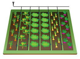 Micro Irrigation Systems Design