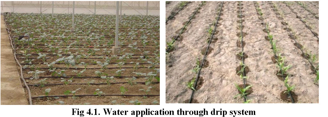 4.1water applicaion through drip system
