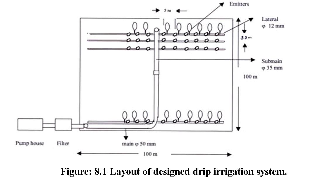 figure_8.1 layout of design drip irrigation system