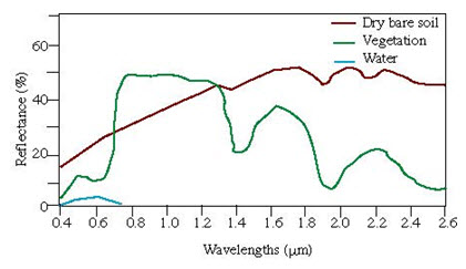 Fig. 2.7. Spectral reflectance curve
