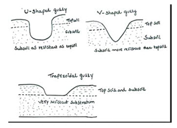 Gully classes based on the shape of gully cross-section
