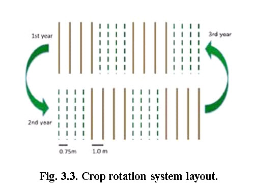 fig 3.3