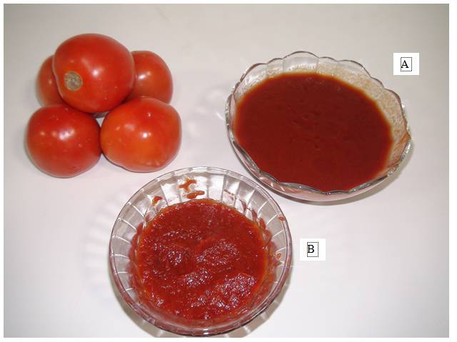Tomato Sauce Production Flow Chart