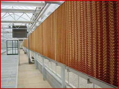 Design and application of cooling pad system in the greenhouse