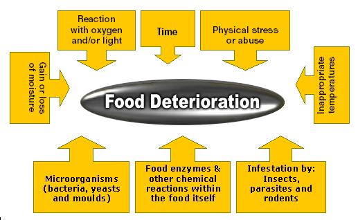 Lesson_19.1_Food Deterioration