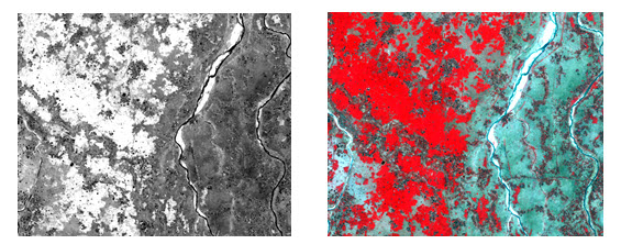 Fig. 9.2.  Satellite image of area in (a) grey scale and in (b) standard FCC