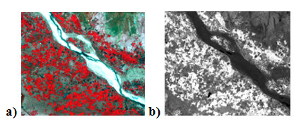 Fig. 11.14. a) FCC image of an area, b) NDVI output image; vegetation appears bright, river or wet land appears dark