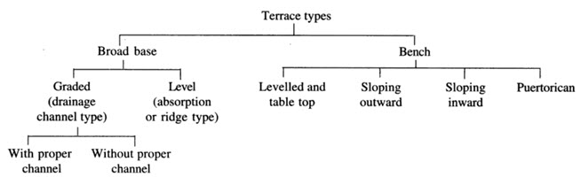 Types of terraces
