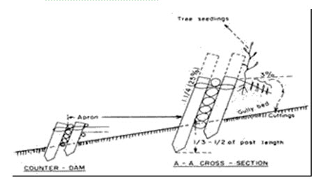 A-A cross-section of the first log check dam and counter dam
