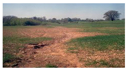 17.1. Tilled Farmland Very Susceptible to Erosion from Rainfall
