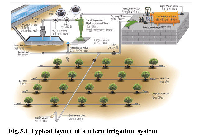 Fig.5.1 Typical layout of a micro-irrigation system