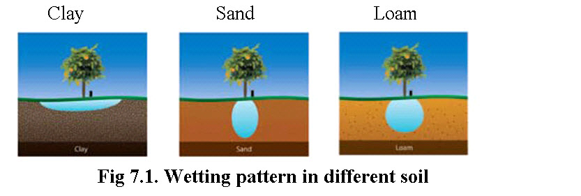 Fig 7.1. Wetting pattern in different soil