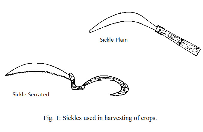 Module 2 Lesson 6 Fig.6.1 Sickles used in harvesting of crops