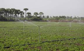 Minor Irrigation & Command Area Development