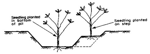 Fig. 32.3