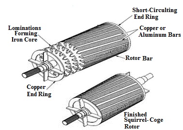 cage roto.jpg