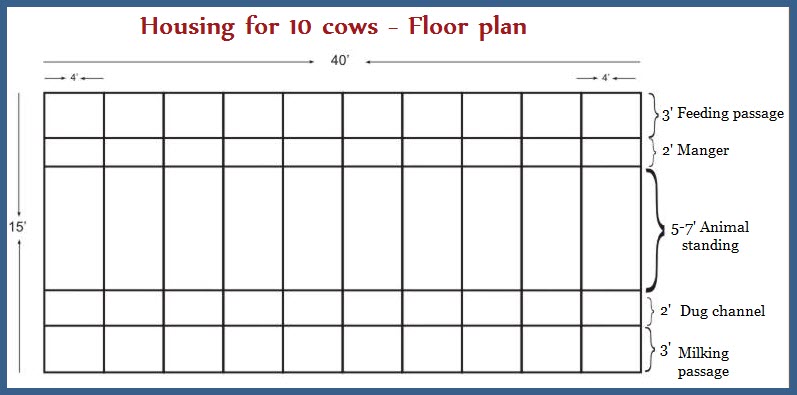 Livestock Farm Practice Housing For 10 Cows Floor Plan 5357