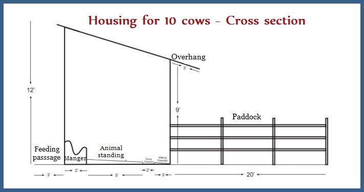 Livestock Farm Practice Housing For 10 Cows Cross Section 2259