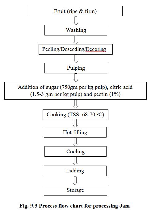 Fig. 9.3 Process flow chart for processing Jam